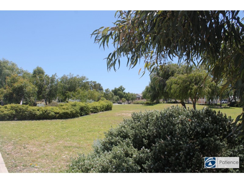 14 Altrincham Grove, Butler WA 6036