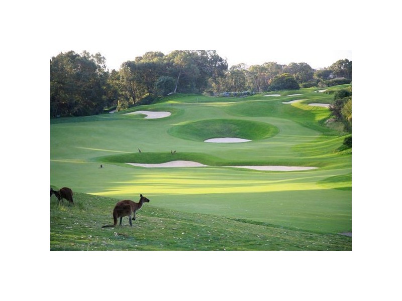 54 Long Island Pass, Connolly WA 6027