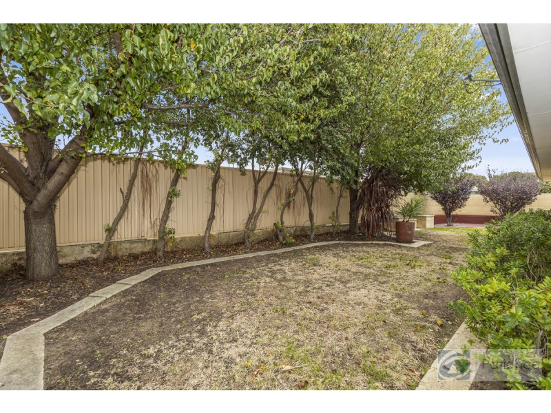 2 Impington Road, Butler WA 6036