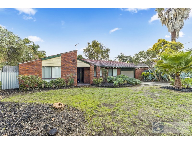 3 Barra Place, Wanneroo WA 6065