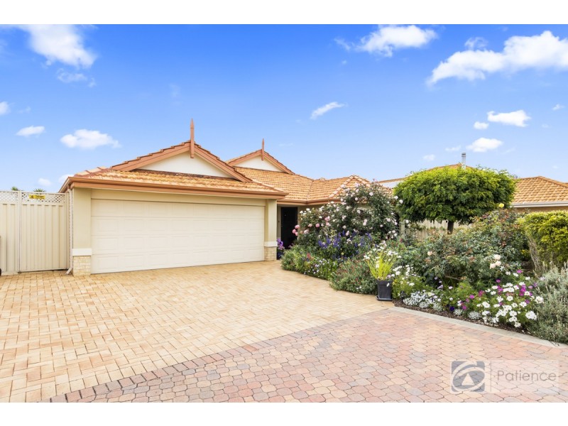 7 Talybont Bend, Butler WA 6036