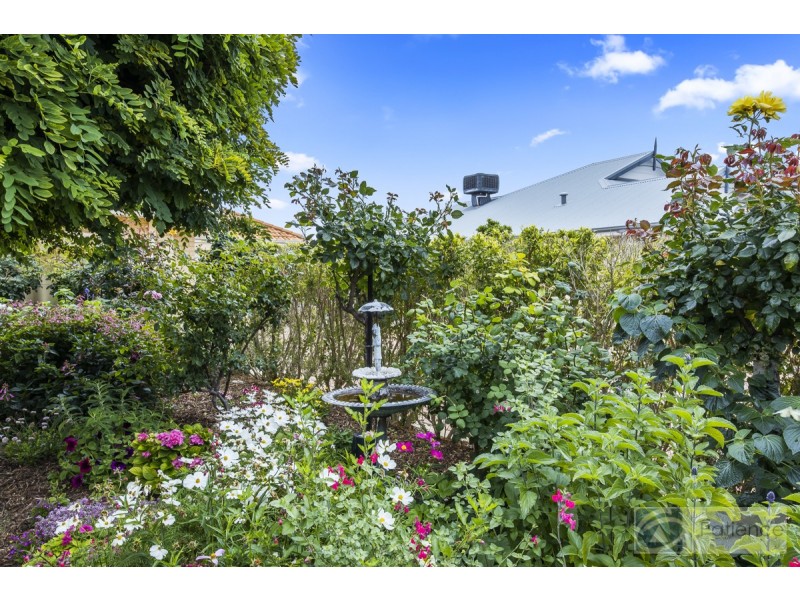 7 Talybont Bend, Butler WA 6036