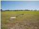 660/Lot 660 Greyhound Circle, Gledhow WA 6330