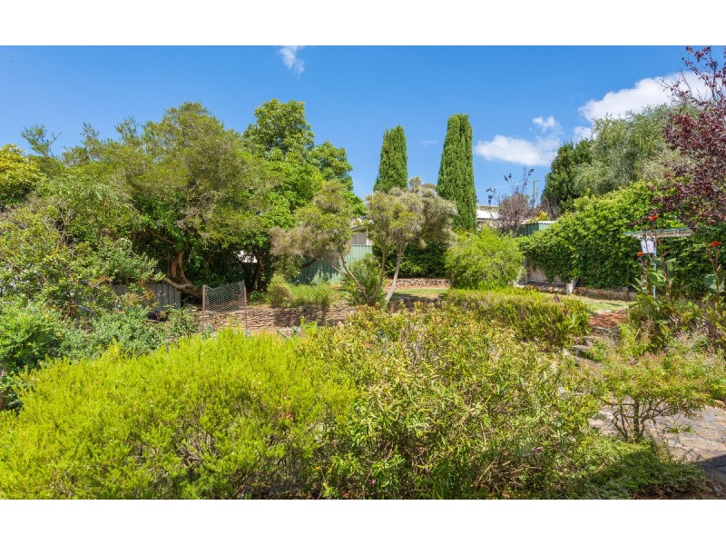 10 Halifax Street, Mount Melville WA 6330