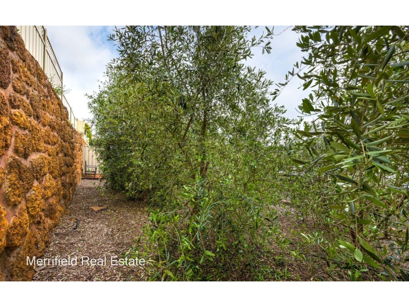 104 Chauncy Way, Spencer Park WA 6330