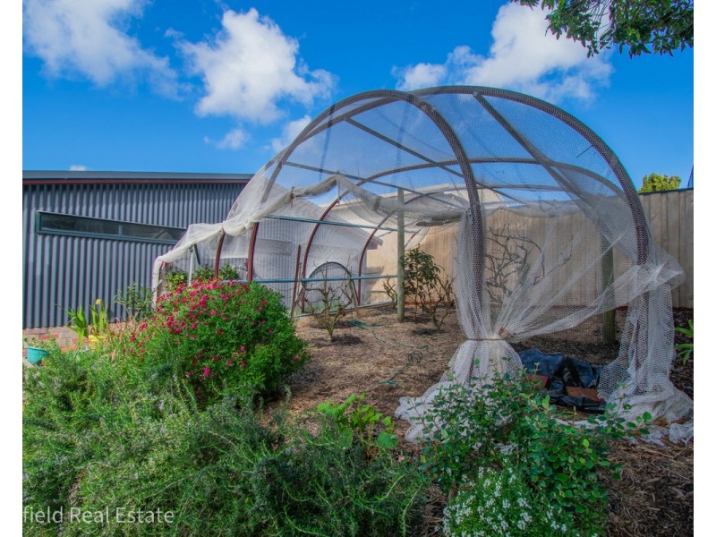 3 Melrose Street, Mount Melville WA 6330