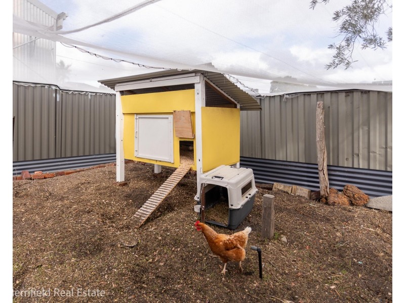 99 Angove Road, Spencer Park WA 6330