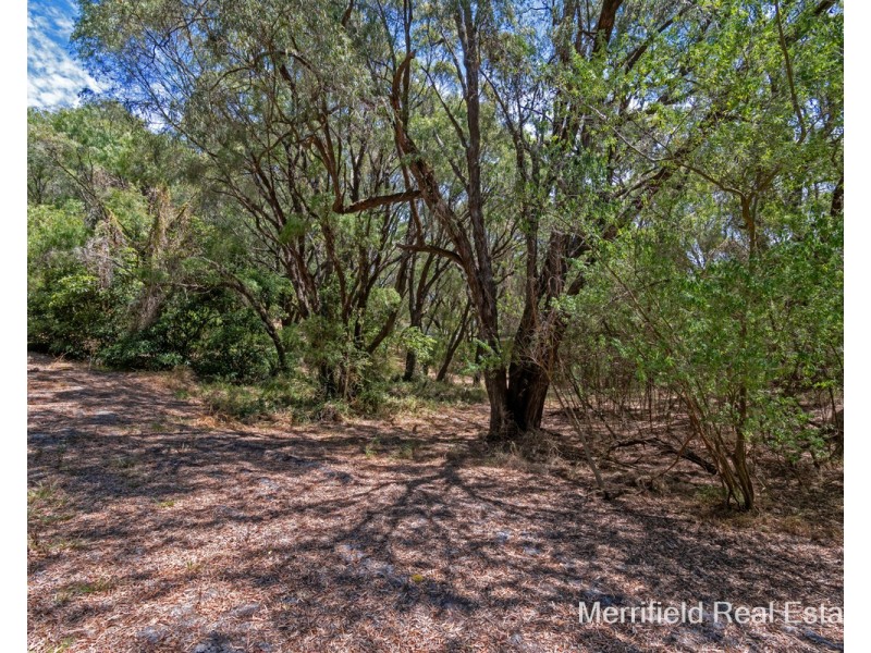 22 Grove Street East, Little Grove WA 6330