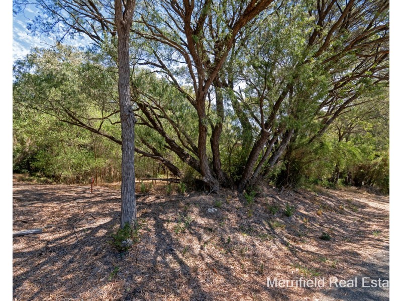 22 Grove Street East, Little Grove WA 6330