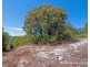 22 Grove Street East, Little Grove WA 6330