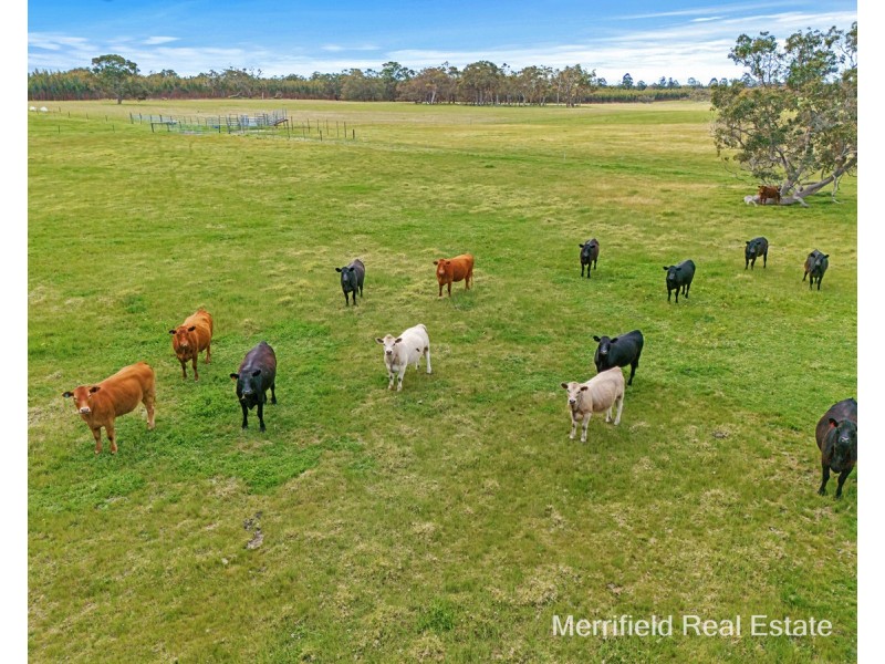 3 Bennett Road, Napier WA 6330