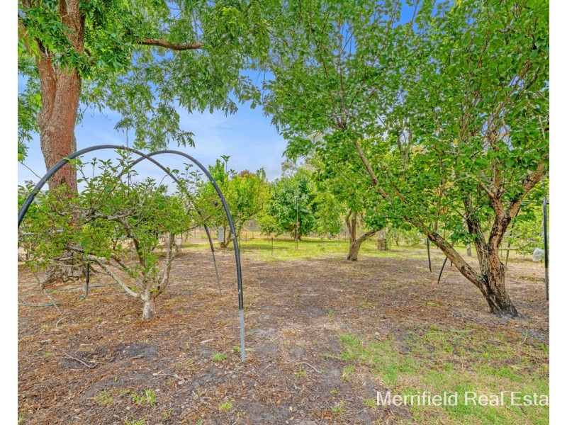 38 Peppermint Drive, Warrenup WA 6330