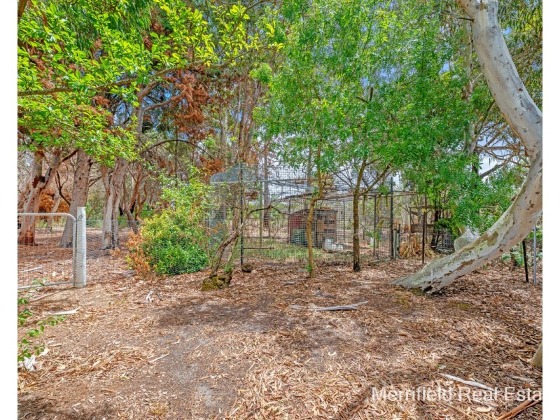 38 Peppermint Drive, Warrenup WA 6330
