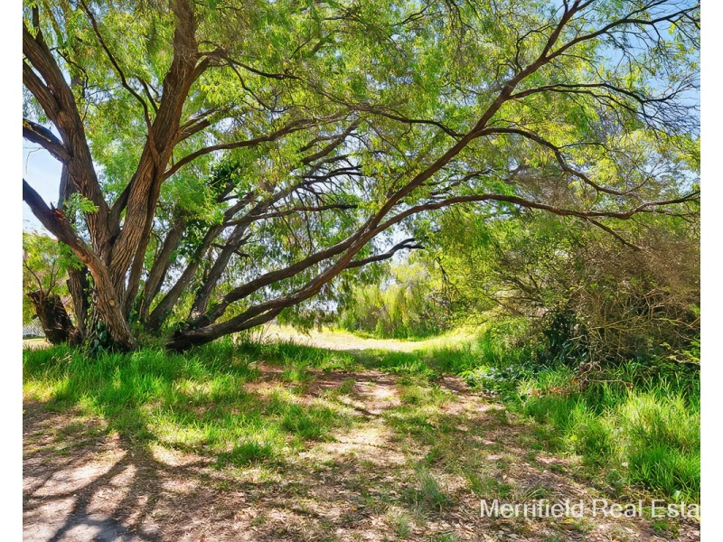 115 Bay View Drive, Little Grove WA 6330