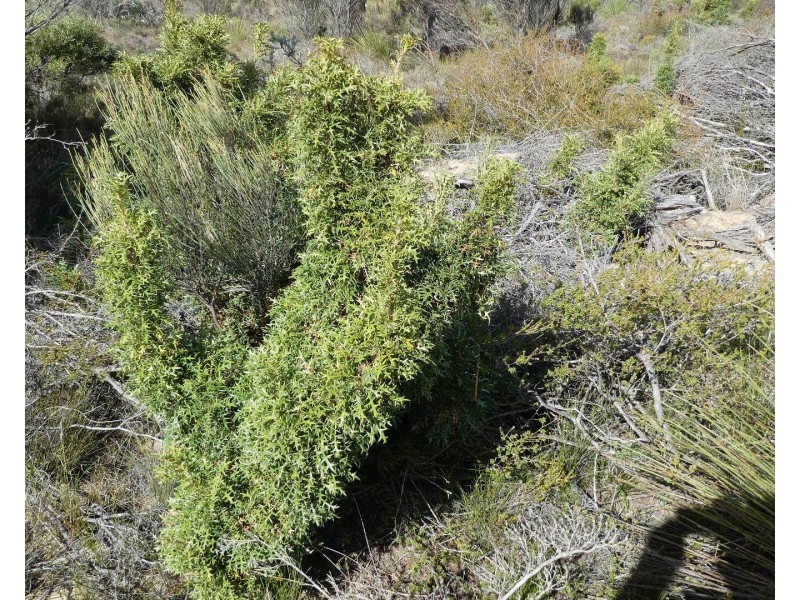 Lot 3,  Marnigarup South Road, Gairdner WA 6337