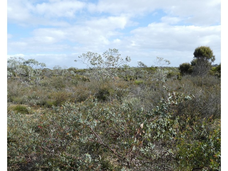 Lot 3,  Marnigarup South Road, Gairdner WA 6337