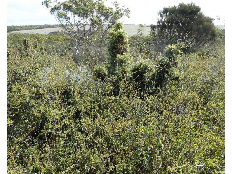 Lot 3,  Marnigarup South Road, Gairdner WA 6337