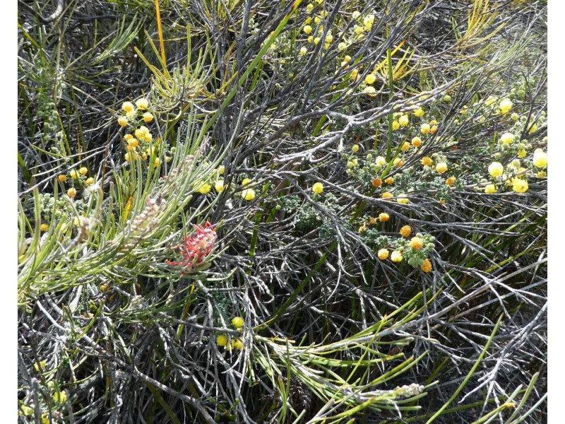 Lot 3,  Marnigarup South Road, Gairdner WA 6337