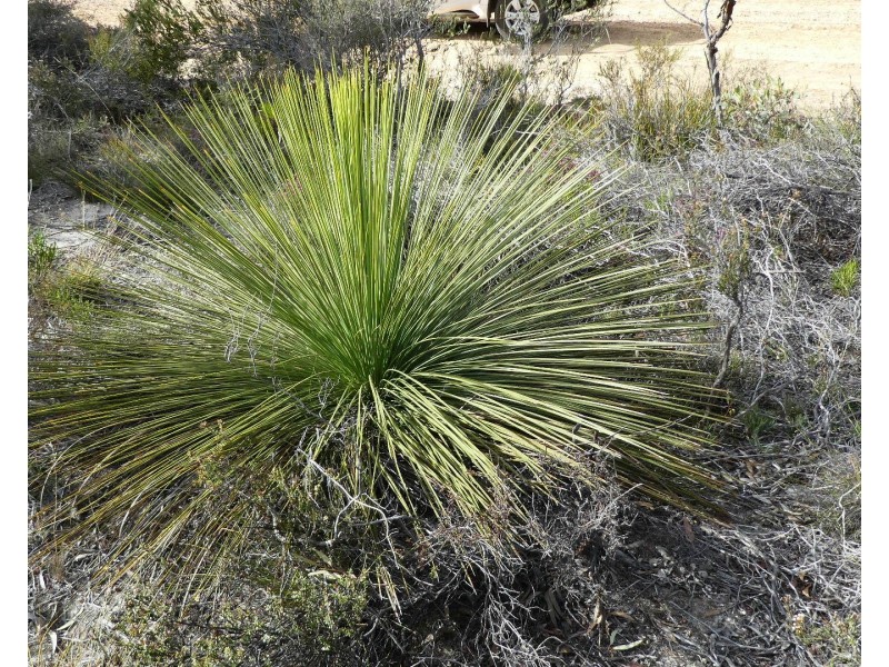 Lot 3,  Marnigarup South Road, Gairdner WA 6337