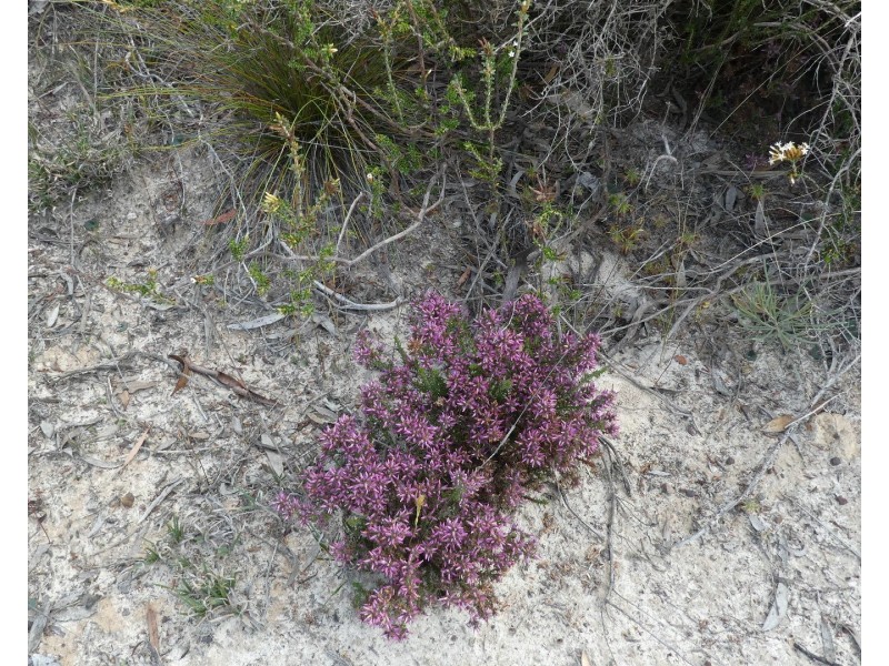 Lot 3,  Marnigarup South Road, Gairdner WA 6337