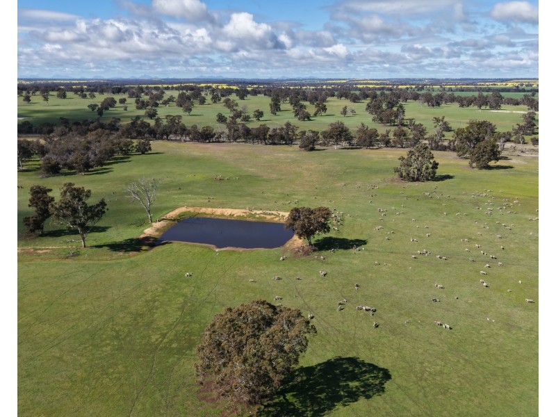 898 Flat Rocks Road, Broomehill West WA 6318