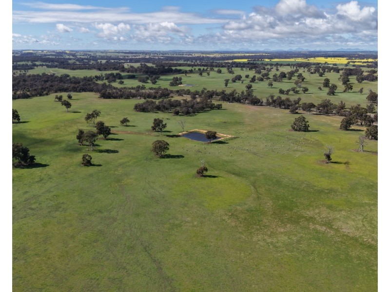 898 Flat Rocks Road, Broomehill West WA 6318