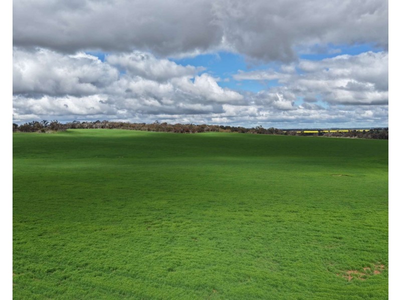 898 Flat Rocks Road, Broomehill West WA 6318