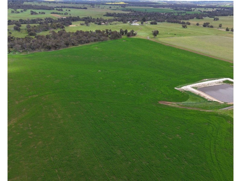 898 Flat Rocks Road, Broomehill West WA 6318