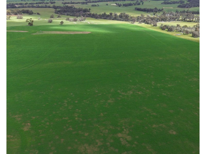 898 Flat Rocks Road, Broomehill West WA 6318