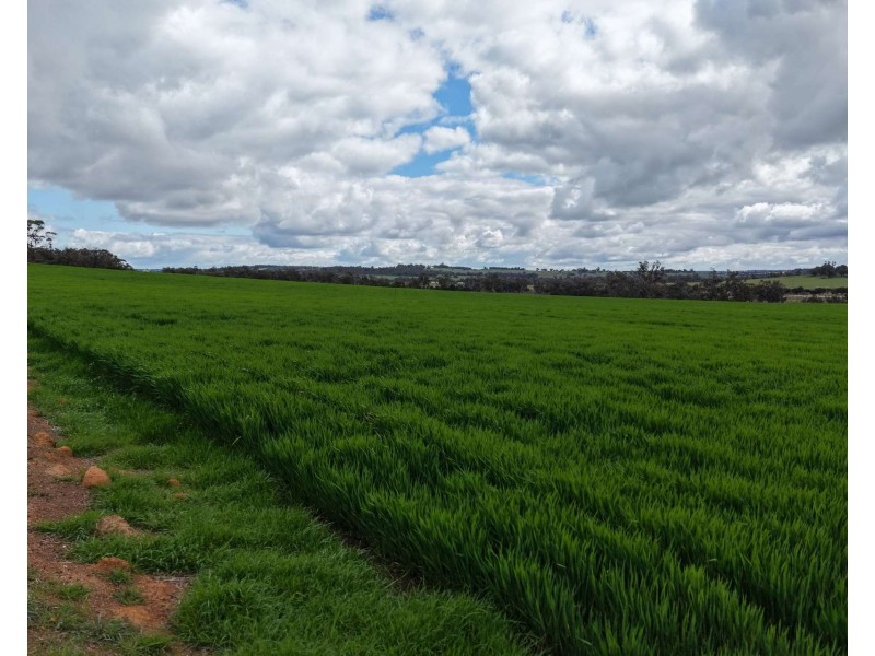 898 Flat Rocks Road, Broomehill West WA 6318