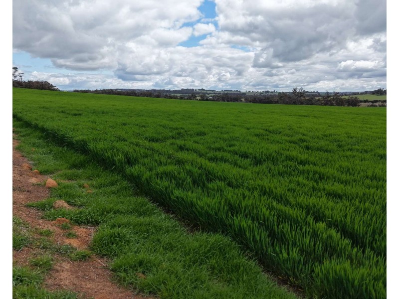 898 Flat Rocks Road, Broomehill West WA 6318