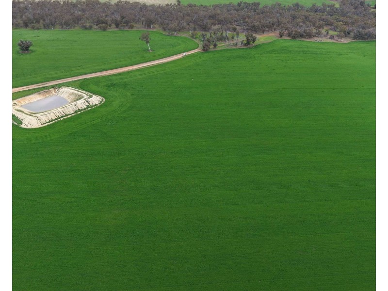 898 Flat Rocks Road, Broomehill West WA 6318