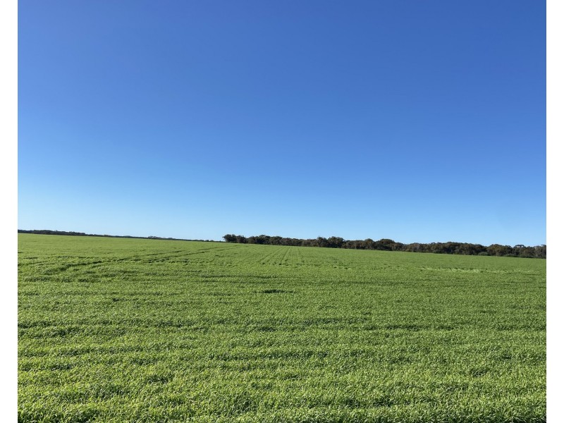 39949 South Coast Highway, Green Range WA 6328