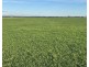 39949 South Coast Highway, Green Range WA 6328