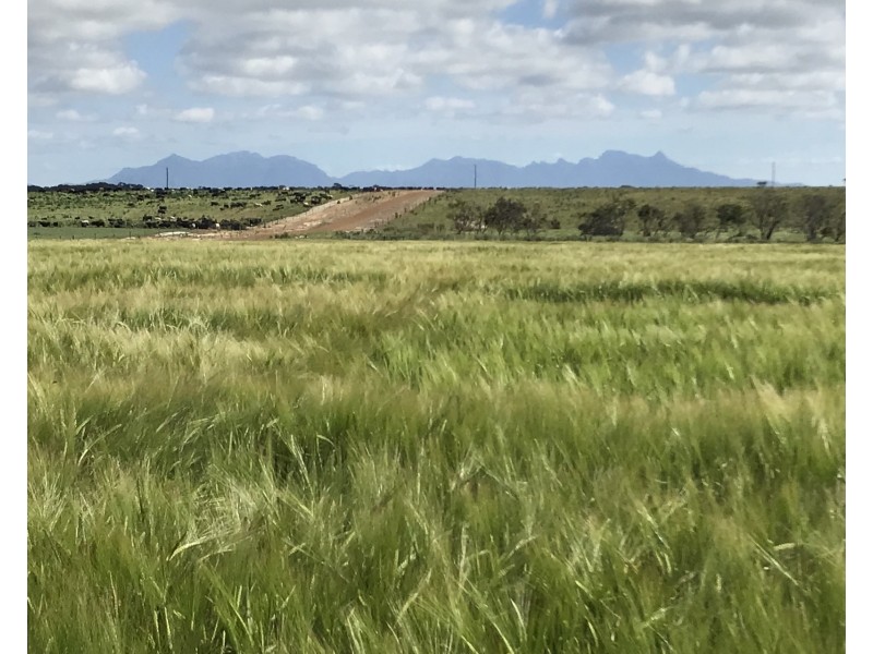 39949 South Coast Highway, Green Range WA 6328