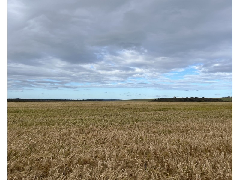 39949 South Coast Highway, Green Range WA 6328