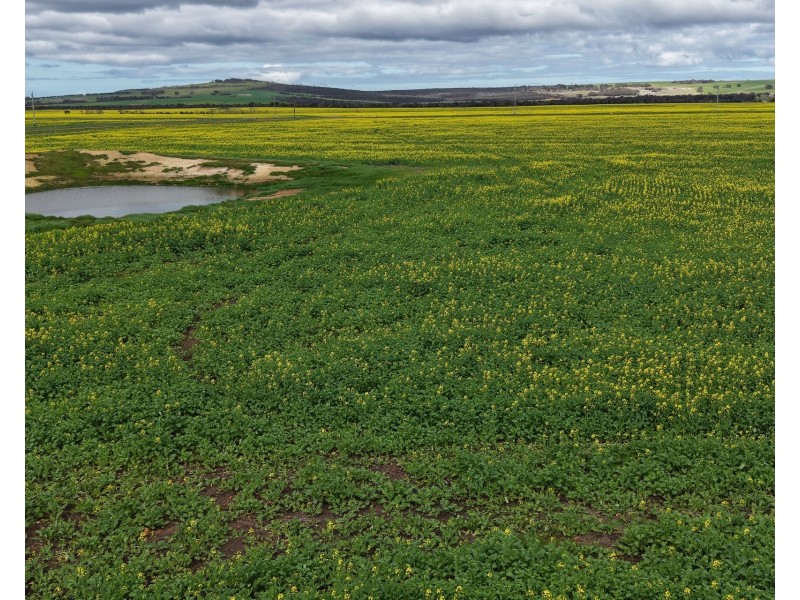 39949 South Coast Highway, Green Range WA 6328