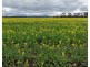 39949 South Coast Highway, Green Range WA 6328