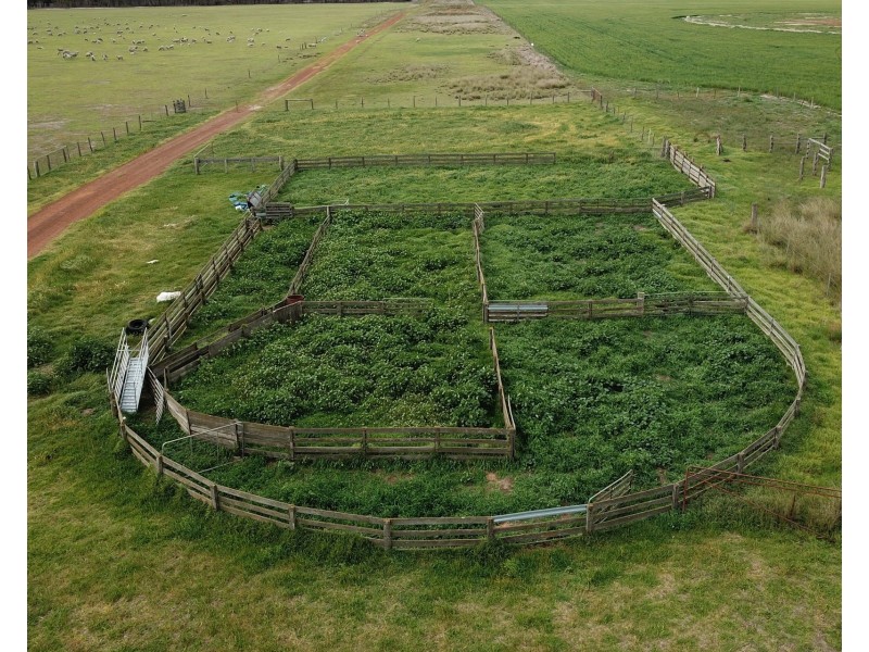 828 Gnowellen Road, Wellstead WA 6328