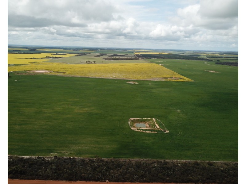 828 Gnowellen Road, Wellstead WA 6328