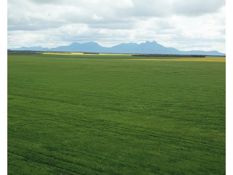 828 Gnowellen Road, Wellstead WA 6328