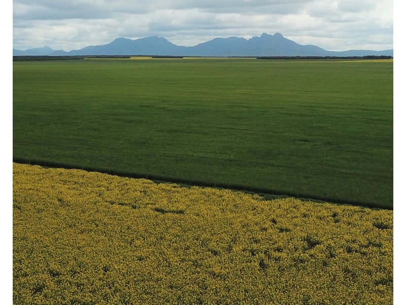 828 Gnowellen Road, Wellstead WA 6328