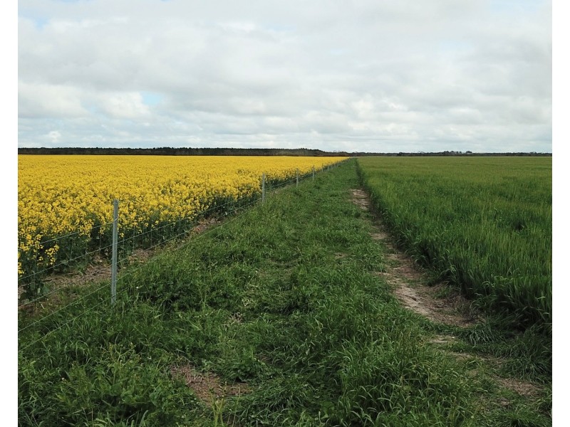 828 Gnowellen Road, Wellstead WA 6328