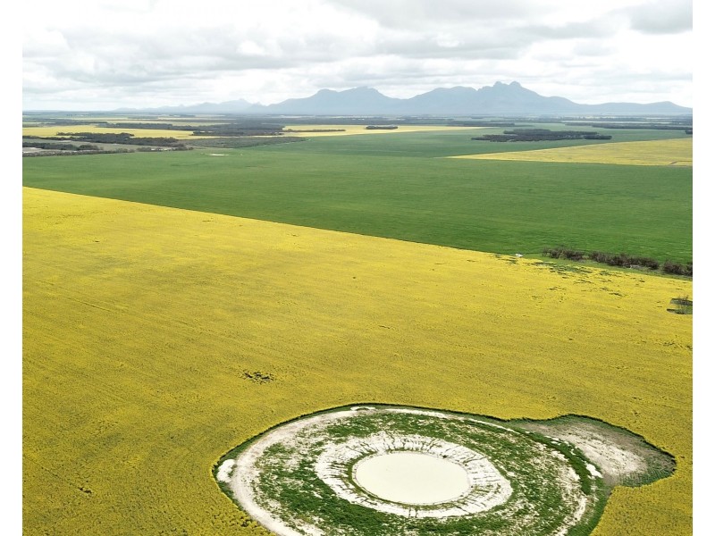 828 Gnowellen Road, Wellstead WA 6328