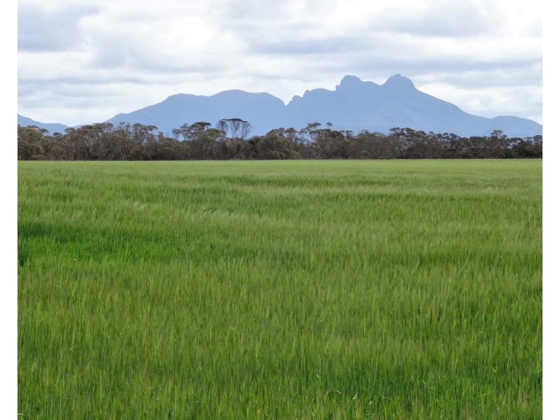 828 Gnowellen Road, Wellstead WA 6328