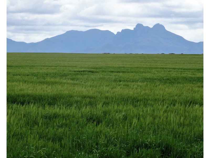 828 Gnowellen Road, Wellstead WA 6328