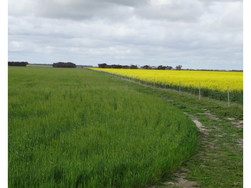 828 Gnowellen Road, Wellstead WA 6328