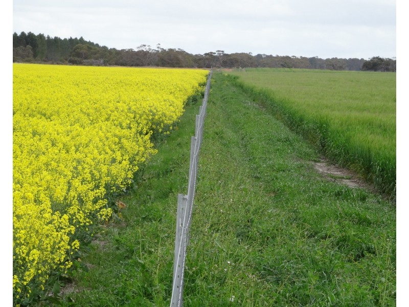 828 Gnowellen Road, Wellstead WA 6328