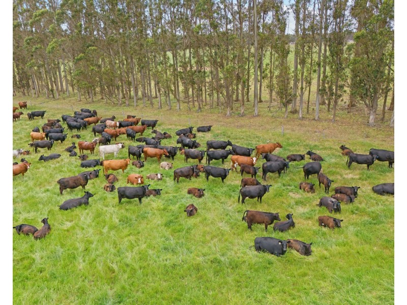 57 Youngs Road, Napier WA 6330