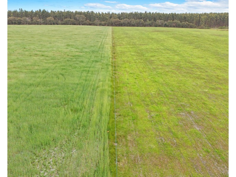 57 Youngs Road, Napier WA 6330